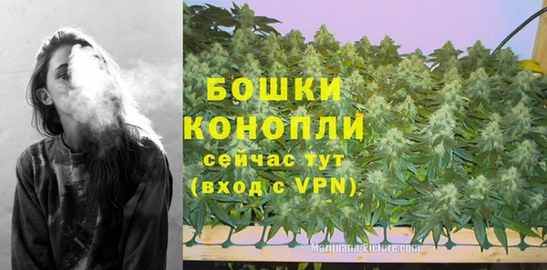 индика Белокуриха