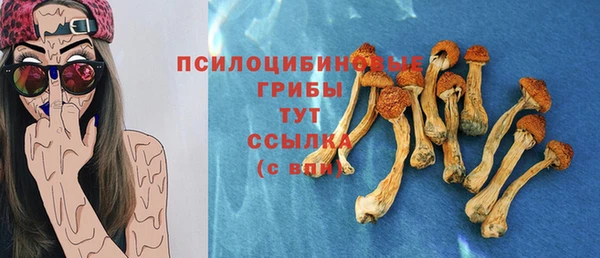 индика Белокуриха