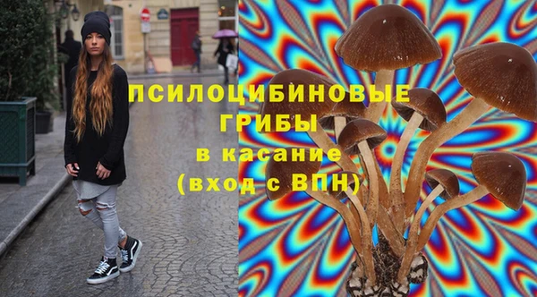 индика Белокуриха