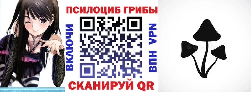 kraken как войти  Коряжма  Псилоцибиновые грибы Cubensis  цены наркотик 