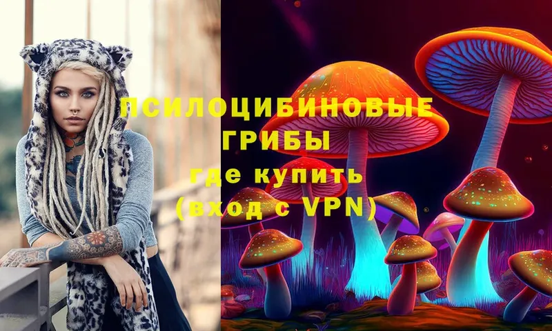 omg ONION  Коряжма  Галлюциногенные грибы Psilocybe 