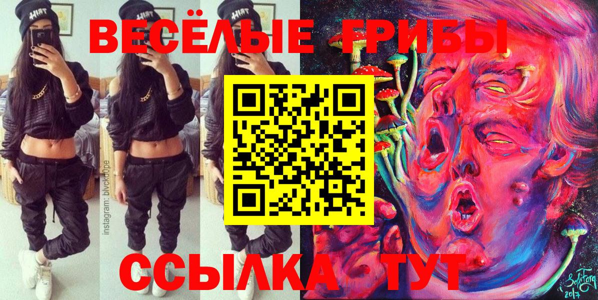 МЕТАМФЕТАМИН Коряжма