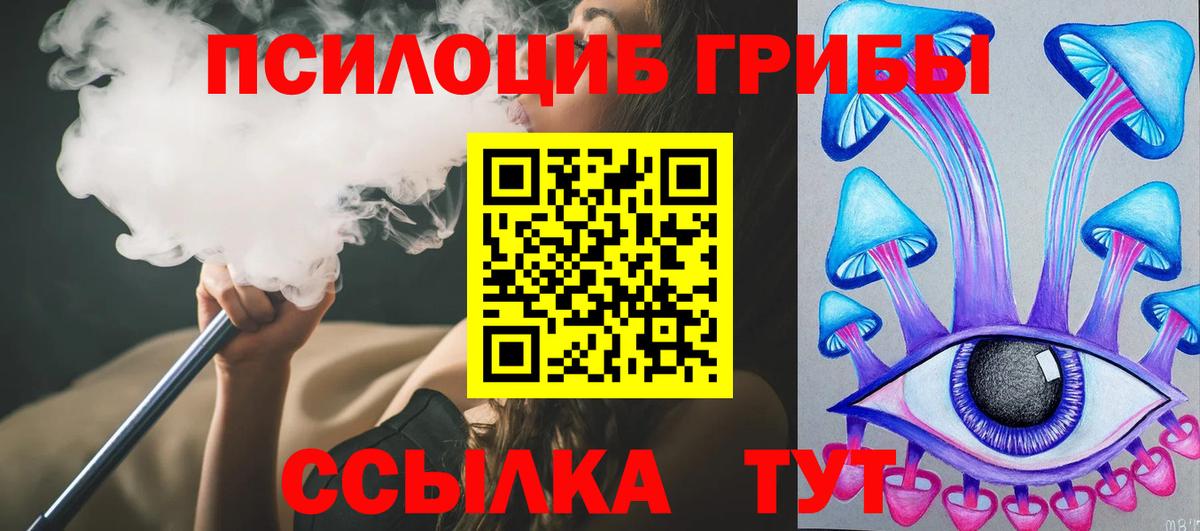 Коряжма  Псилоцибиновые грибы прущие грибы  Вход с VPN 